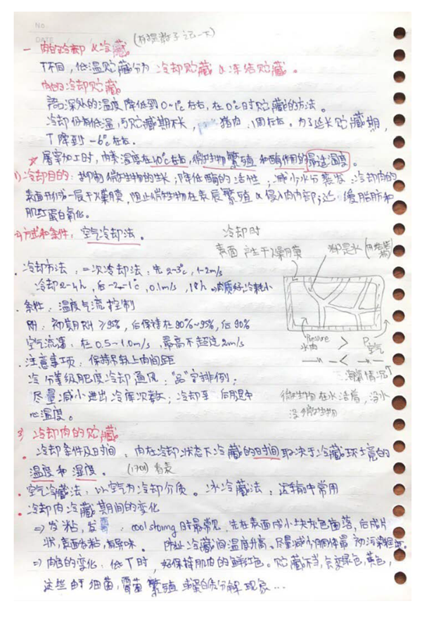 10_副本.png