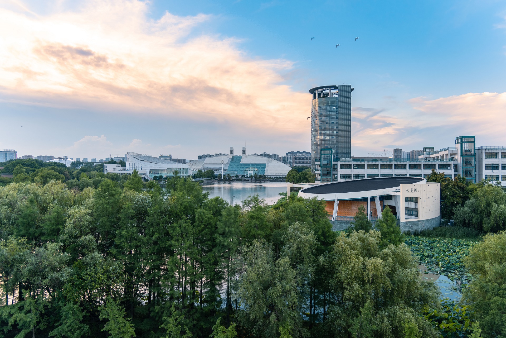 浙江大学 gallery image 3